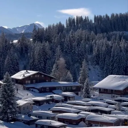 Schutzhaus Suiza * 博尔蒂根