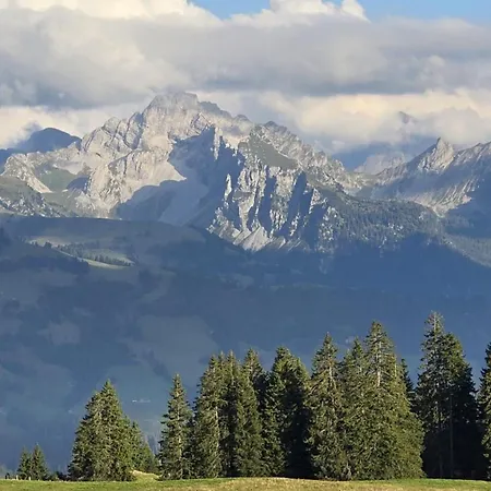 Schutzhaus Suiza شقة بولتيغن