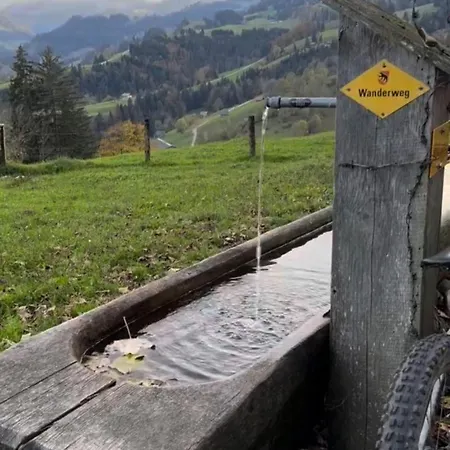 Schutzhaus Suiza 公寓 博尔蒂根