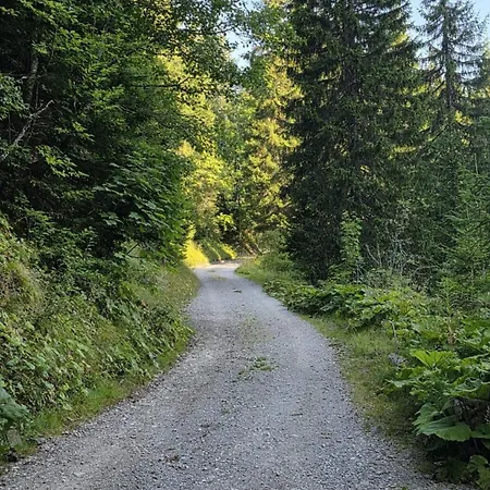 Schutzhaus Suiza