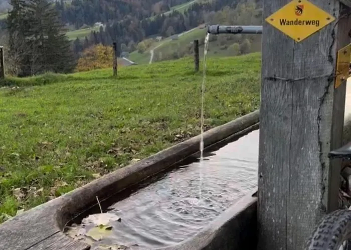 Schutzhaus Suiza شقة بولتيغن